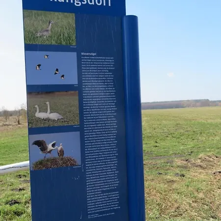 Schillo * Rangsdorf
